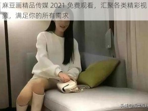 麻豆画精品传媒 2021 免费观看，汇聚各类精彩视频，满足你的所有需求