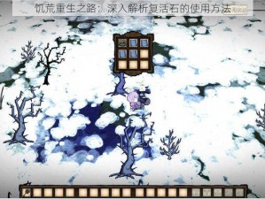 饥荒重生之路：深入解析复活石的使用方法