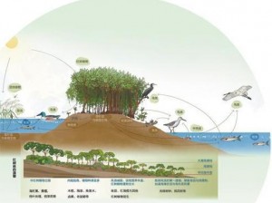 皮卡堂3D森林系统深度解析：自然交互与生态体验的新境界