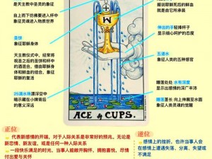 命运冠位指定强度解析及圣杯使用指南——全方位推荐攻略