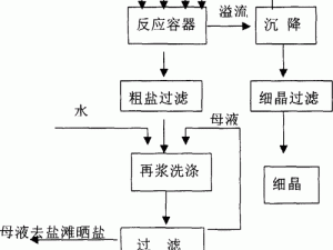 食盐的奥秘：从原材料到精细产品的制作过程探究