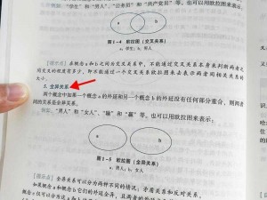 金之炼金票：用途与价值解析——深度探讨其功能与意义