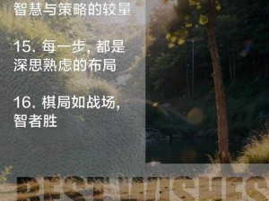 中国象棋：策略与技巧的深度解析，智慧与勇气的较量艺术