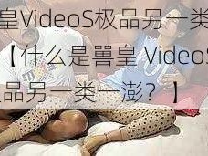 嘼皇VideoS极品另一类一澎【什么是嘼皇 VideoS 极品另一类一澎？】