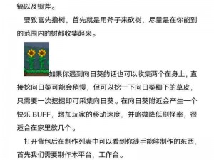 泰拉瑞亚高效刷兔子攻略：实用技巧与方法分享