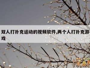 体验激情与挑战，尽在免费剧烈运动扑克视频软件