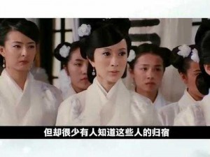 杨门女将寡妇伦理剧情-杨门女将：寡妇们的伦理纠葛与情感挣扎