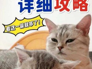 疯狂跳跃猫电脑版下载攻略及安装指南：全面解析步骤与注意事项