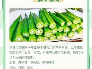 污草莓樱桃丝瓜秋葵榴莲黄瓜白狐-污草莓樱桃丝瓜秋葵榴莲黄瓜白狐，是真的吗？