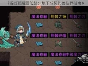 《提灯照耀冒险路：地下城契约兽推荐指南》