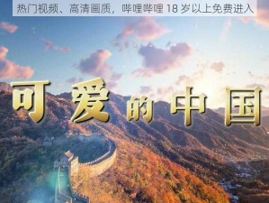 热门视频、高清画质，哔哩哔哩 18 岁以上免费进入