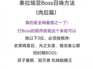 泰拉瑞亚Boss圣骑士全面攻略：属性解析与高效打法技巧探索