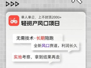 b 站推广网站 2024：一键提升网站流量，轻松实现商业变现