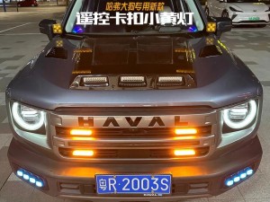 全新大狗 BATTLE 大狗 V2RAY，更快、更稳定、更安全的网络加速神器