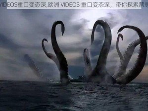 欧洲VIDEOS重口变态深,欧洲 VIDEOS 重口变态深，带你探索禁忌世界