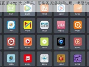 免费的短视频 app 大全苹果，汇集各类短视频应用，满足你的娱乐需求