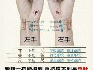 经脉系统操作详解：新手入门教程，揭示经脉系统操作全攻略