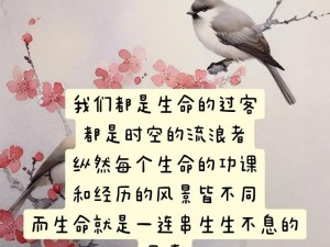 花之凋零风之追寻：一首深情探寻生命循环之歌