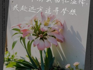 幻想计划：回忆碎片收集攻略——探索与追寻的旅程