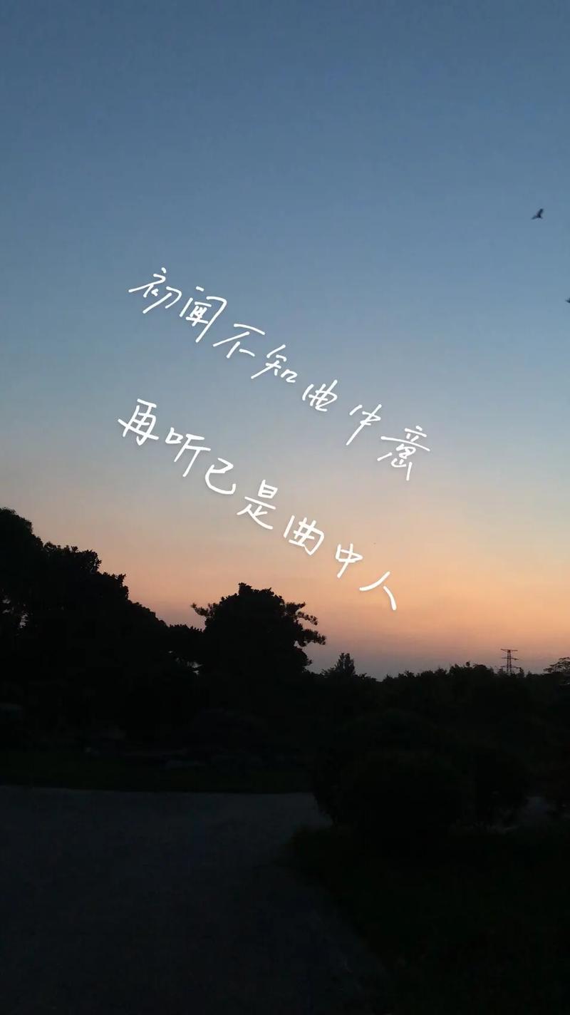 抖音之夜：醉后方知曲中意——探寻那首深夜领悟之歌