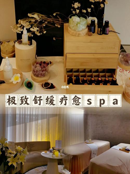 开局双飞宋倩董文洁，高端 SPA 会所体验，享受极致放松