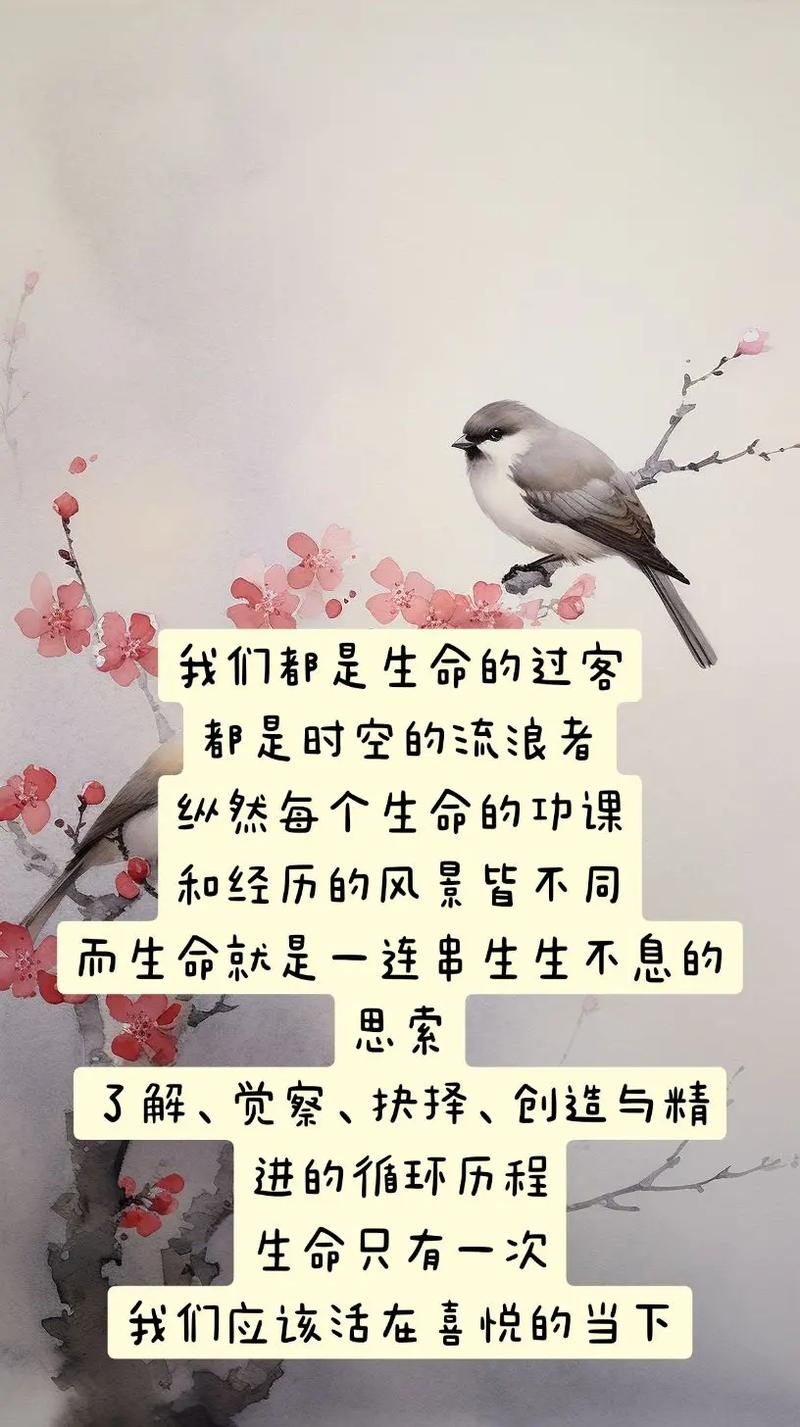 花之凋零风之追寻：一首深情探寻生命循环之歌