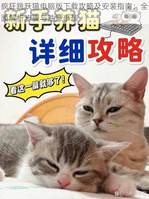 疯狂跳跃猫电脑版下载攻略及安装指南：全面解析步骤与注意事项