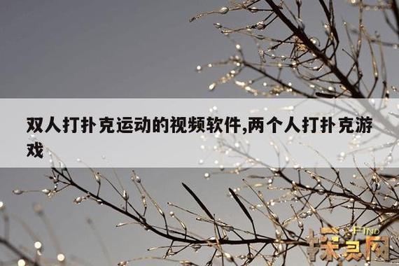 体验激情与挑战，尽在免费剧烈运动扑克视频软件