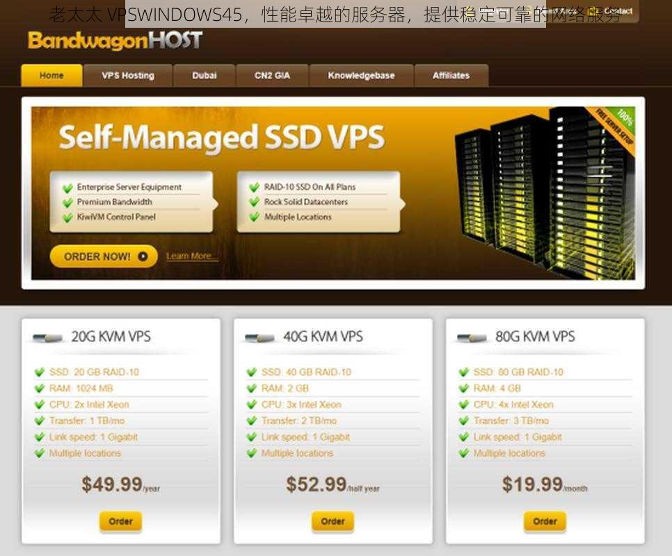 老太太 VPSWINDOWS45，性能卓越的服务器，提供稳定可靠的网络服务