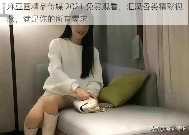 麻豆画精品传媒 2021 免费观看，汇聚各类精彩视频，满足你的所有需求