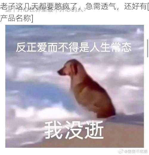 老子这几天都要憋疯了，急需透气，还好有[产品名称]