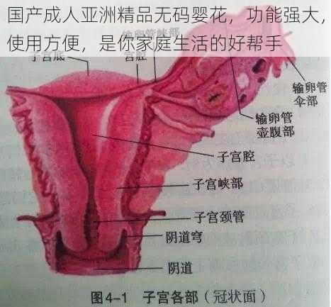 国产成人亚洲精品无码婴花，功能强大，使用方便，是你家庭生活的好帮手