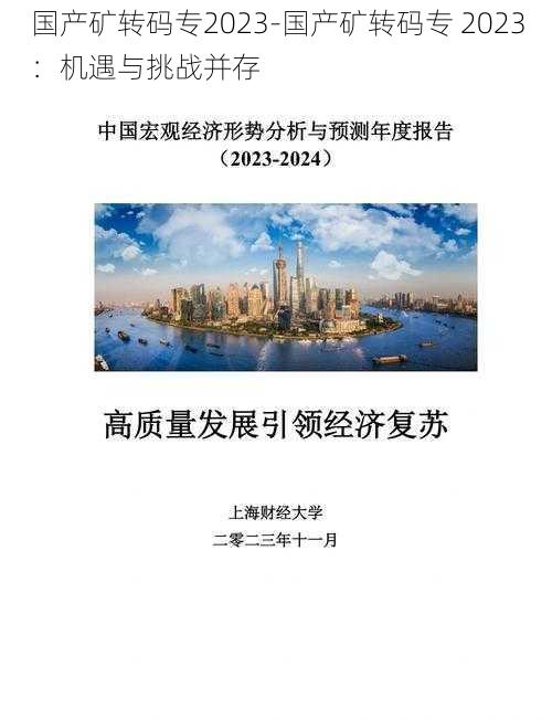 国产矿转码专2023-国产矿转码专 2023：机遇与挑战并存