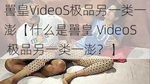 嘼皇VideoS极品另一类一澎【什么是嘼皇 VideoS 极品另一类一澎？】