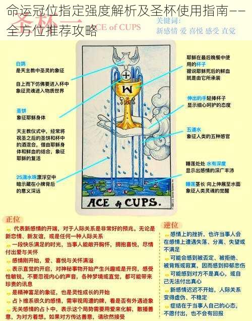 命运冠位指定强度解析及圣杯使用指南——全方位推荐攻略