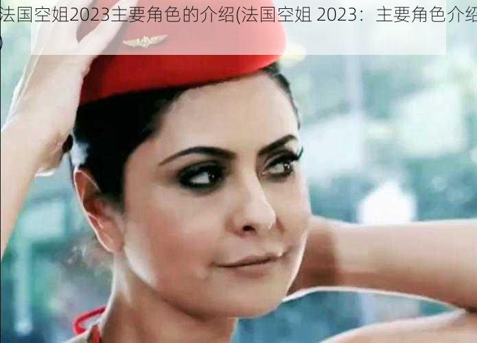 法国空姐2023主要角色的介绍(法国空姐 2023：主要角色介绍)