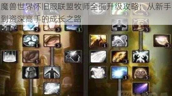 魔兽世界怀旧服联盟牧师全面升级攻略：从新手到资深高手的成长之路