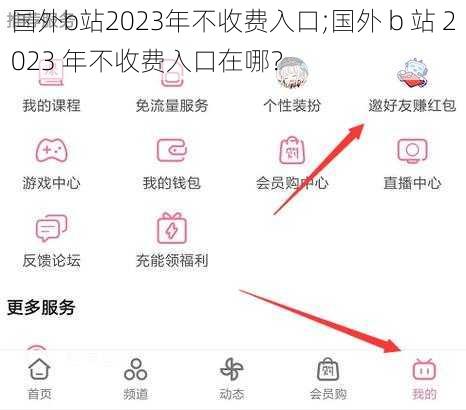 国外b站2023年不收费入口;国外 b 站 2023 年不收费入口在哪？