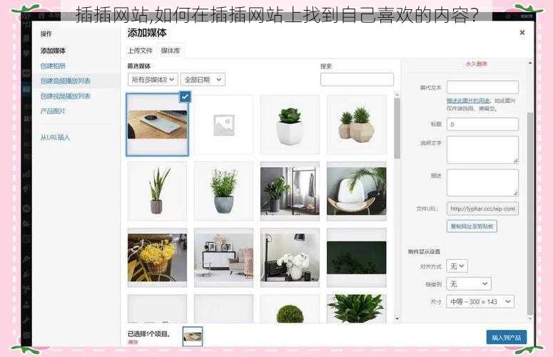 插插网站,如何在插插网站上找到自己喜欢的内容？