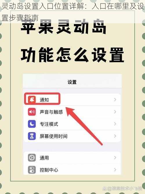 灵动岛设置入口位置详解：入口在哪里及设置步骤指南