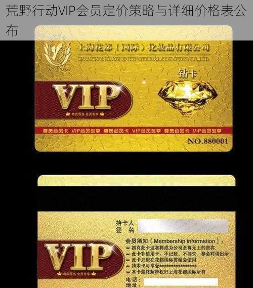 荒野行动VIP会员定价策略与详细价格表公布