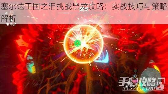 塞尔达王国之泪挑战黑龙攻略：实战技巧与策略解析