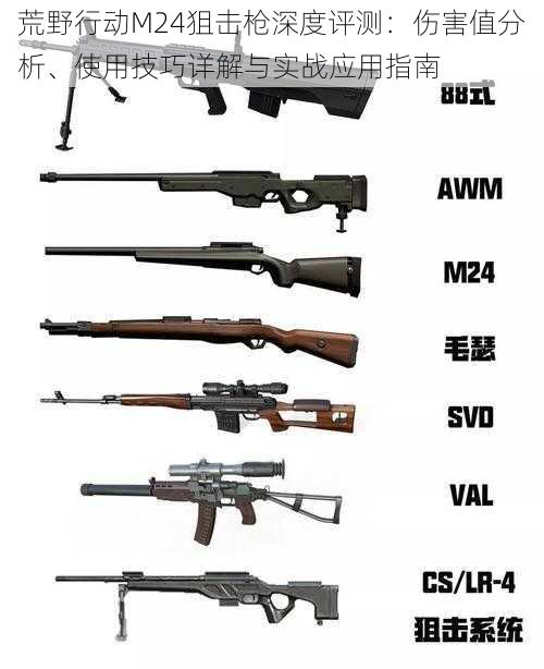 荒野行动M24狙击枪深度评测：伤害值分析、使用技巧详解与实战应用指南