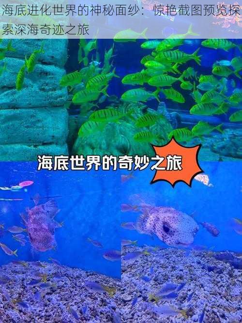 海底进化世界的神秘面纱：惊艳截图预览探索深海奇迹之旅