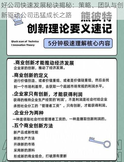 好公司快速发展秘诀揭秘：策略、团队与创新驱动公司迅猛成长之路